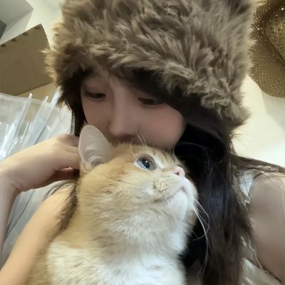 迷蝶